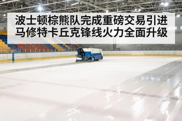 hockey rink arena